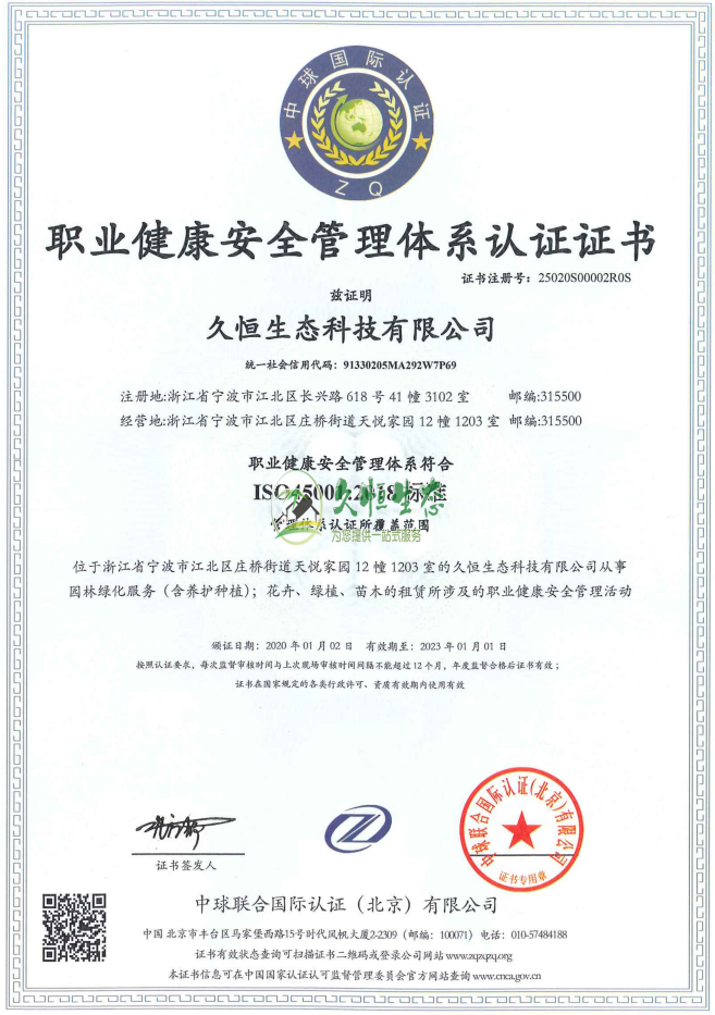 越城职业健康安全管理体系ISO45001证书